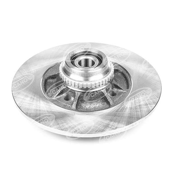 DISCO TRASERO RENAULT 19 - Imagen 2