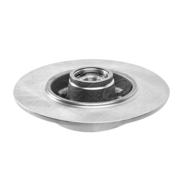 DISCO TRASERO RENAULT FLUENCE - Imagen 2