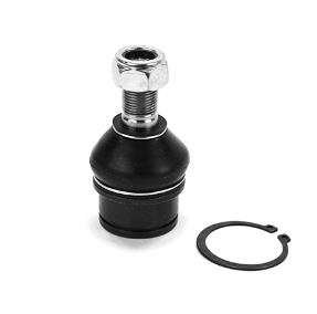 ROTULA INFERIOR FORD, MERCURY - F100 4X2